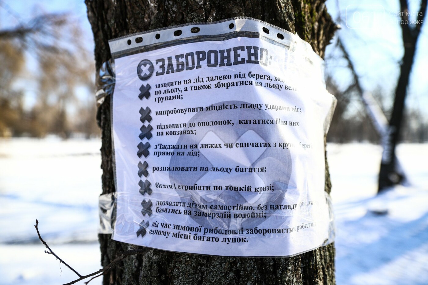 Хоккей, собака-фотомодель и голодные утки: фоторепортаж о зимней "Дубовой роще", фото-23