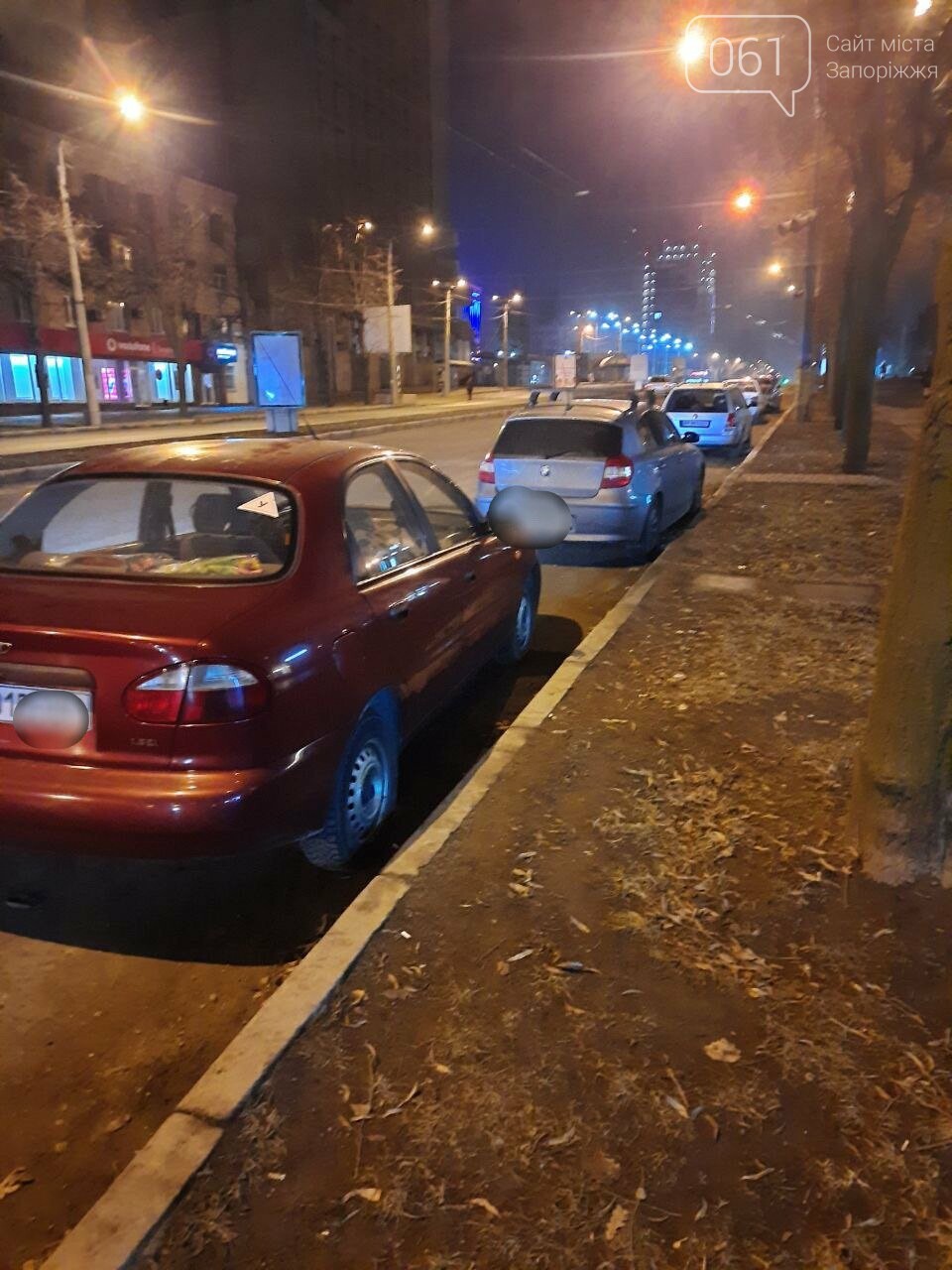 В центре Запорожья пьяная водительница Volkswagen протаранила припаркованные авто и снесла ситилайты , фото-7