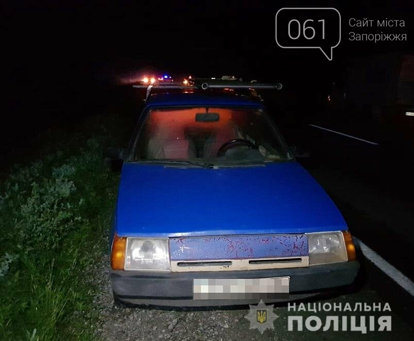 В Запорожской области девушка выбежала на проезжую часть, чтобы спасти собаку и сама погибла под колеса авто, фото-1