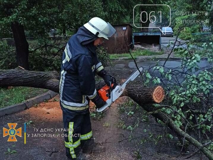 В Запорожской области из-за непогоды повалило деревья и подтопило несколько домов, - ФОТО, фото-1