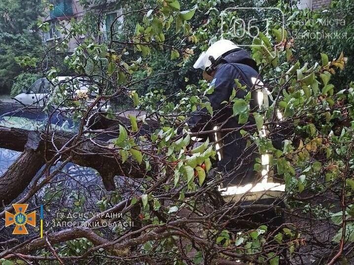 В Запорожской области из-за непогоды повалило деревья и подтопило несколько домов, - ФОТО, фото-2