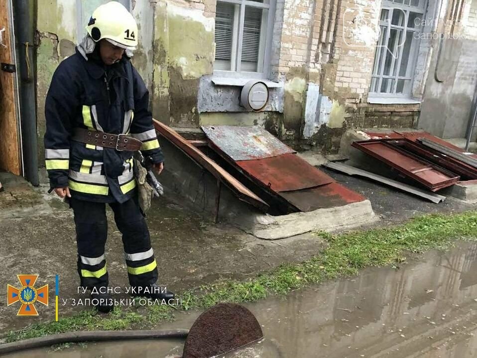 В Запорожской области из-за непогоды повалило деревья и подтопило несколько домов, - ФОТО, фото-3