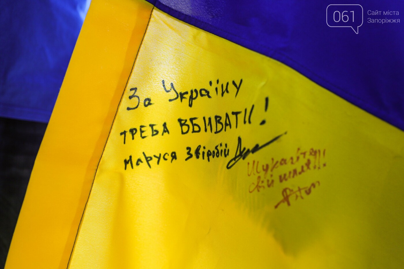 Флаги и праздничное шествие: как в Запорожье отметили День Конституции, - ФОТОРЕПОРТАЖ , фото-10