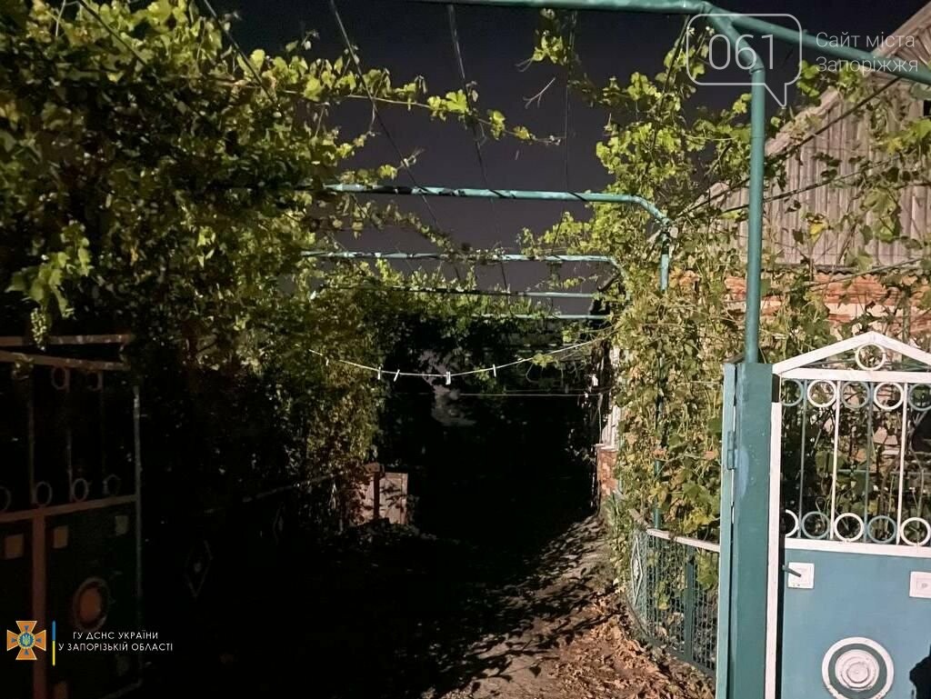 В Запорожской области в жилом доме погиб мужчина во время пожара, фото-1