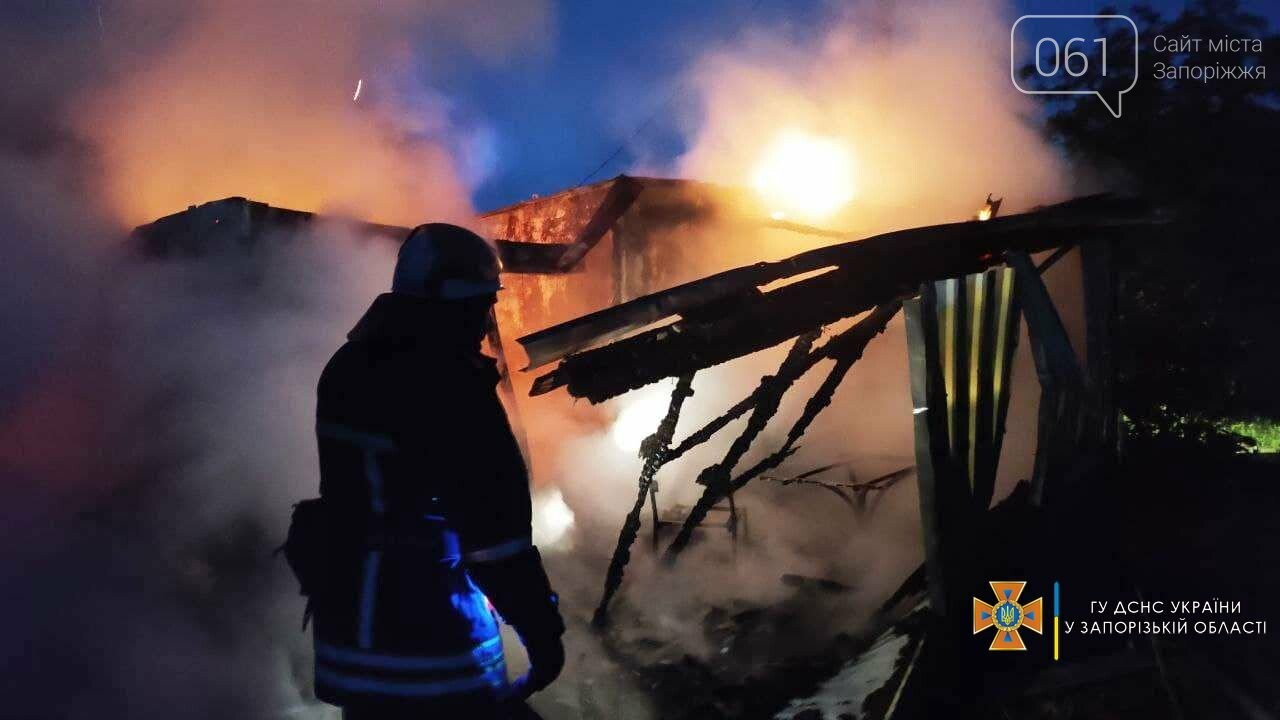 В Бердянске во время пожара в дачном кооперативе погибли двое людей, фото-4