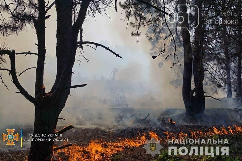 Запорожские правоохранители проводят проверку в связи с масштабным пожаром на Хортице, фото-1