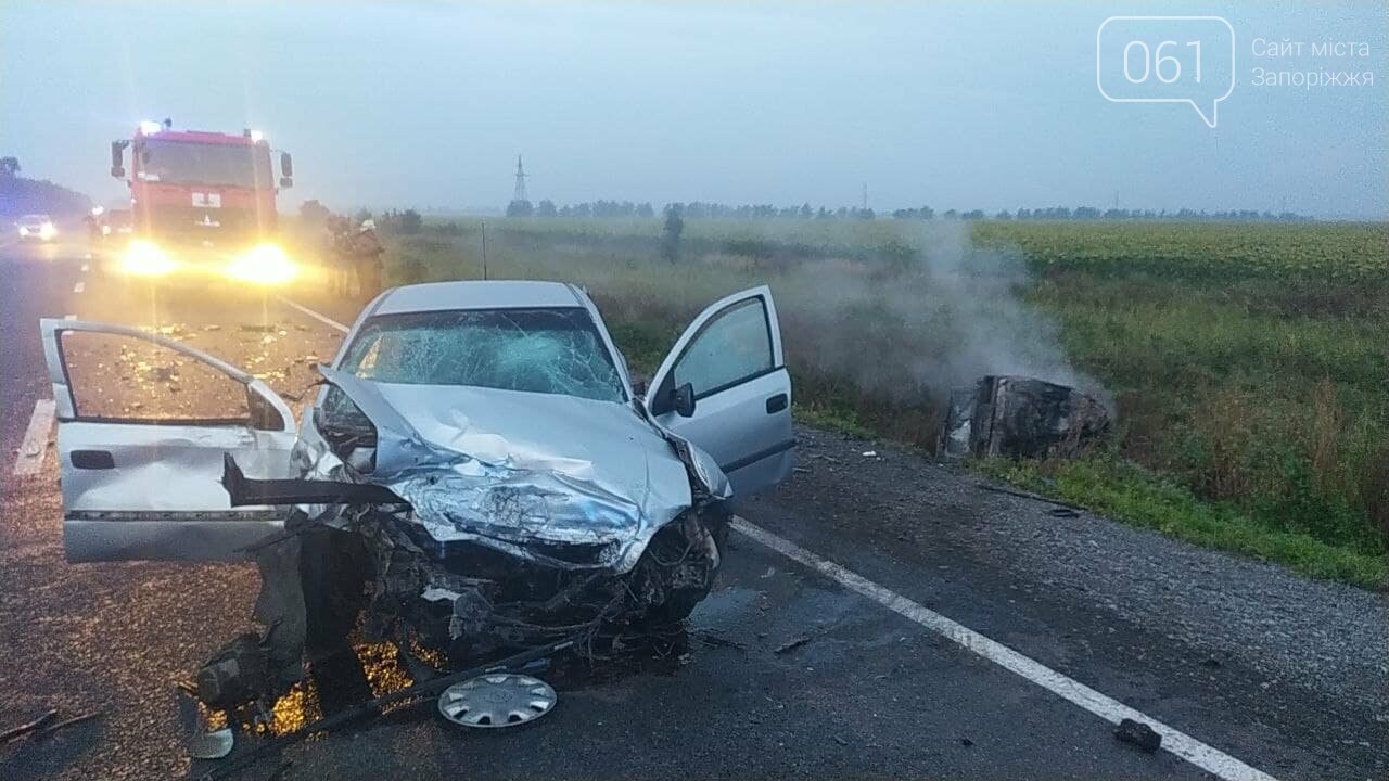 На трассе под Мелитополем в результате ДТП загорелся автомобиль, водитель и пассажиры погибли, - ФОТО, фото-3
