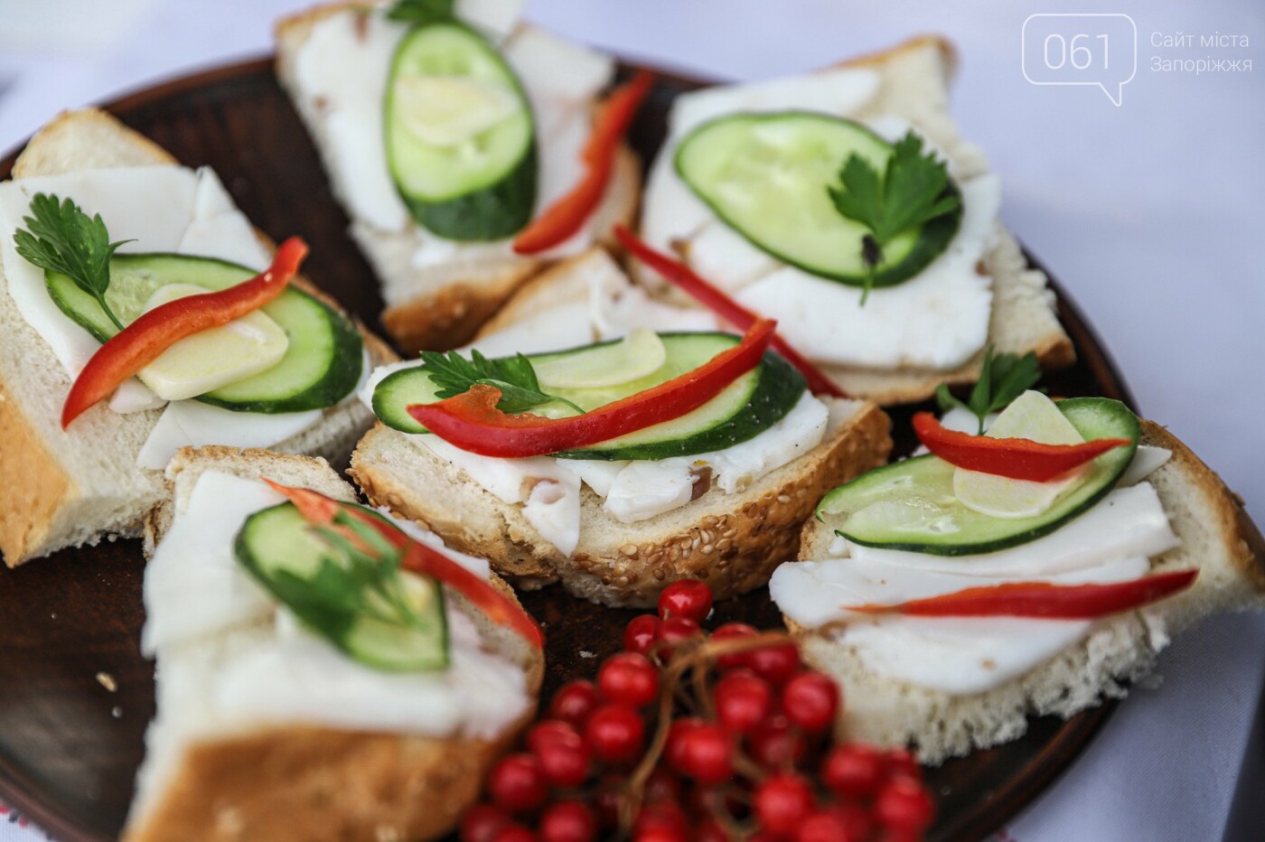 Бограч в хлебных горшочках и мясо из уникальной печи: что нового на фестивале уличной еды в Запорожье, - ФОТОРЕПОРТАЖ, фото-51