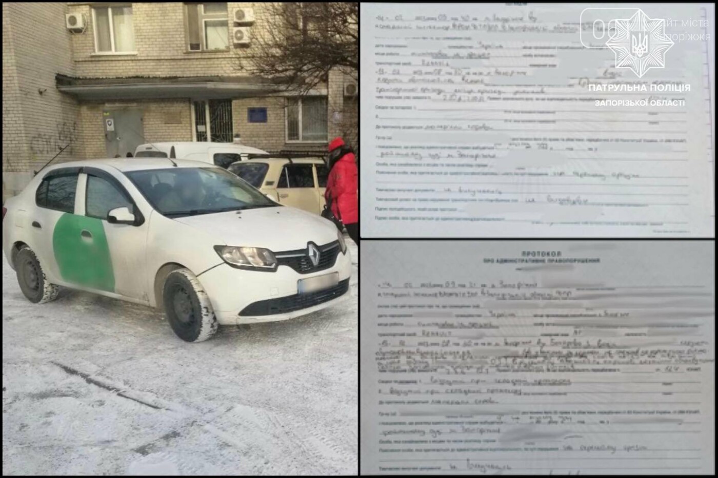 В Запорожье водитель легкового авто сбил собаку и покинул место ДТП |  Новости