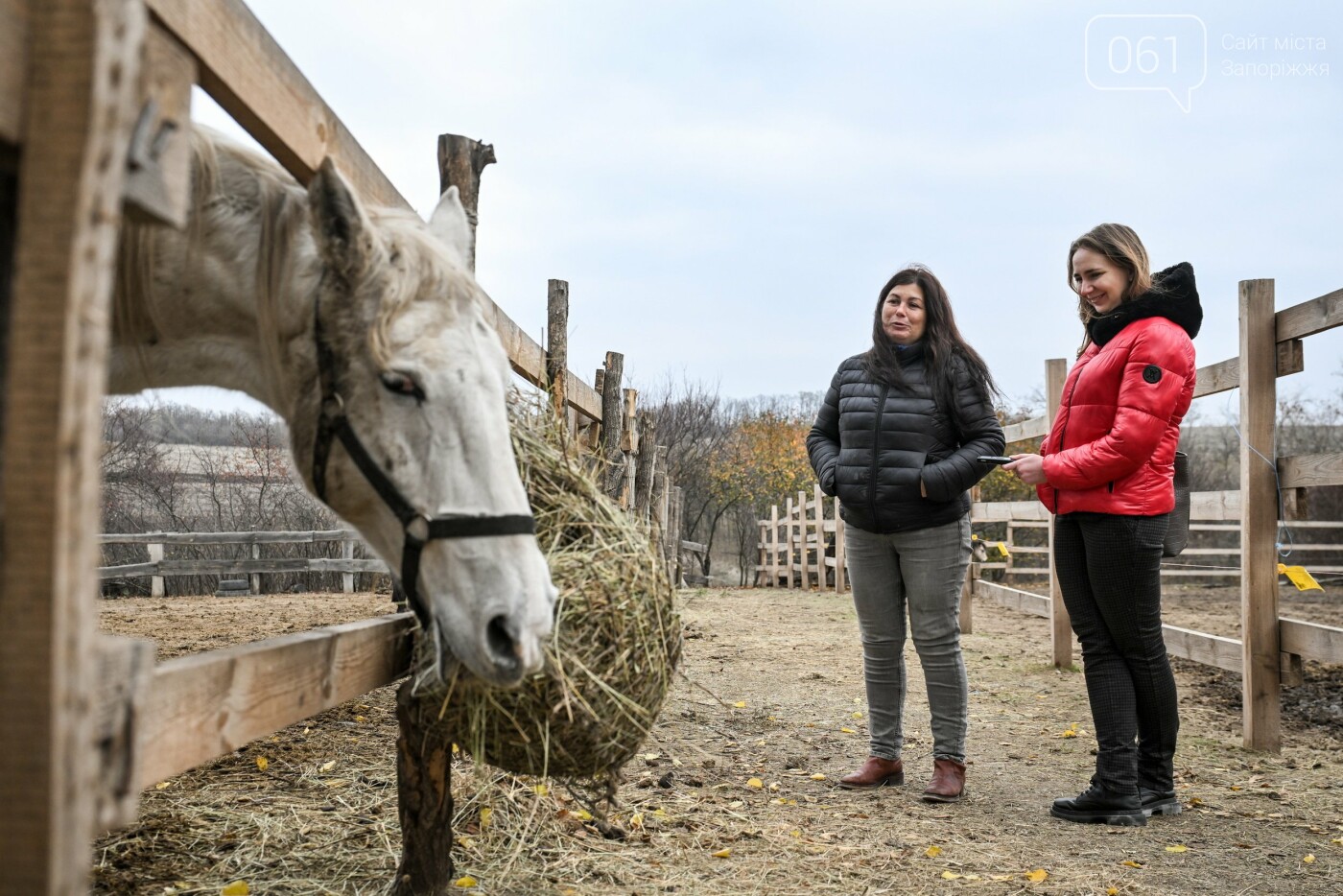 “Я хотіла бути корисною”: історія бухгалтерки, яка створила іпоцентр для реабілітації ветеранів та дітей