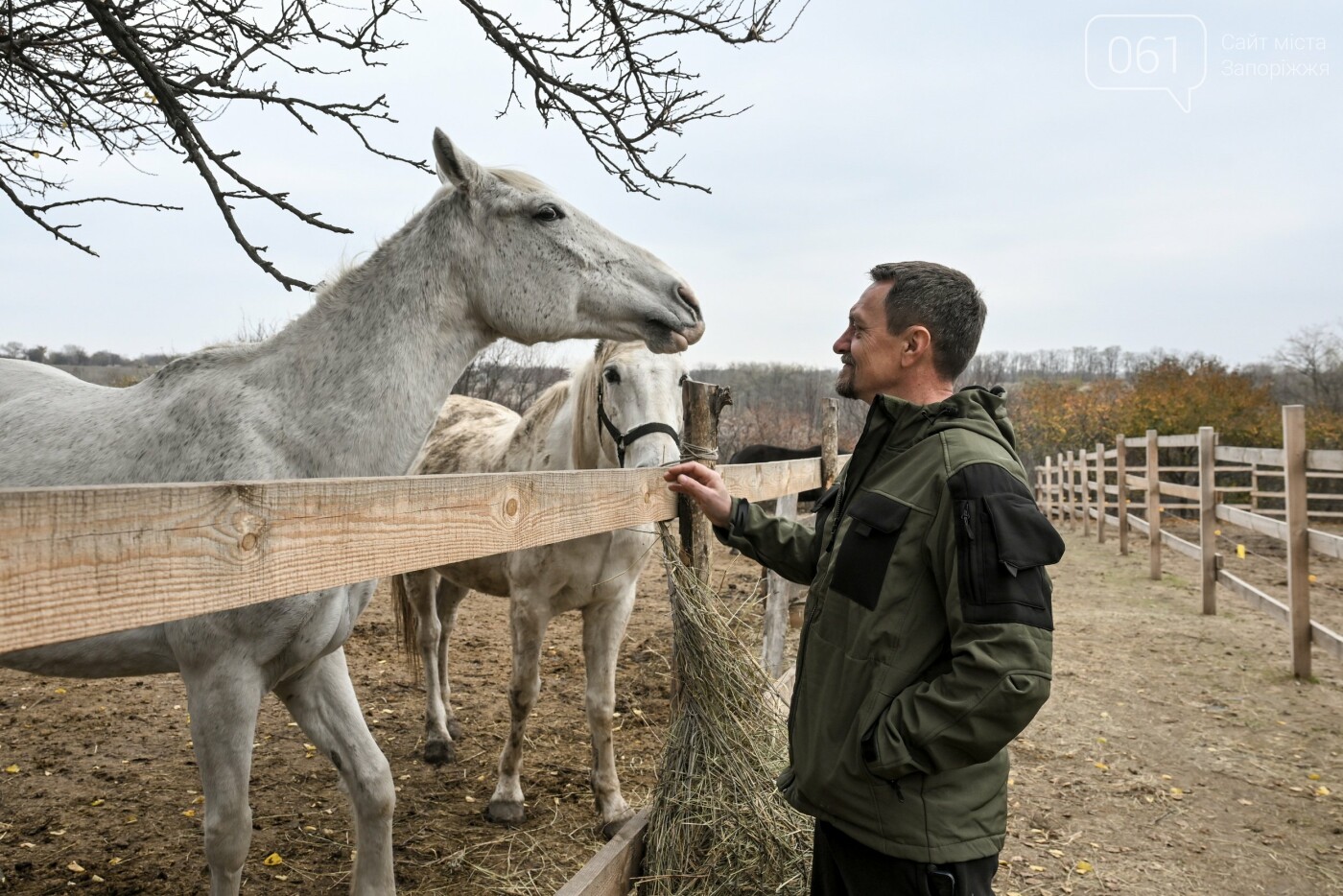 “Я хотіла бути корисною”: історія бухгалтерки, яка створила іпоцентр для реабілітації ветеранів та дітей