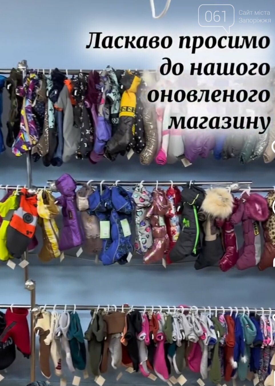 Все для домашніх улюбленців: гід по здоров’ю та догляду за хвостиками , фото-33