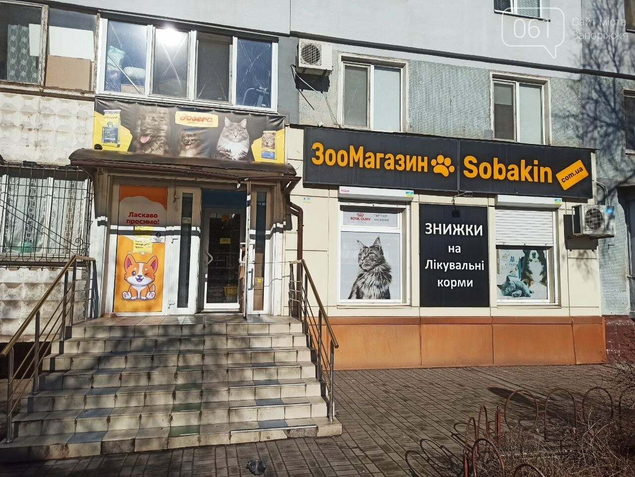 Все для домашніх улюбленців: гід по здоров’ю та догляду за хвостиками , фото-44