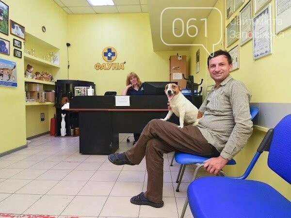 Все для домашніх улюбленців: гід по здоров’ю та догляду за хвостиками , фото-22