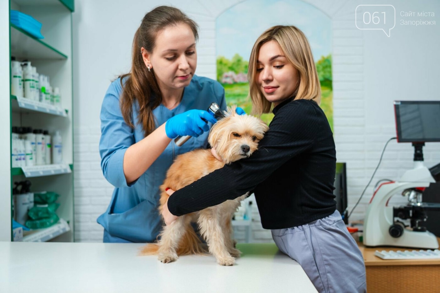 Все для домашніх улюбленців: гід по здоров’ю та догляду за хвостиками , фото-4