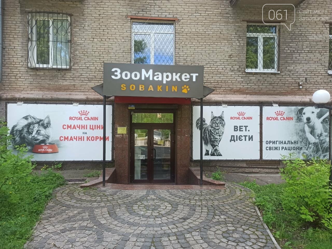 Все для домашніх улюбленців: гід по здоров’ю та догляду за хвостиками , фото-45