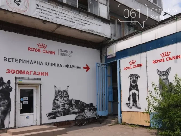 Все для домашніх улюбленців: гід по здоров’ю та догляду за хвостиками , фото-23