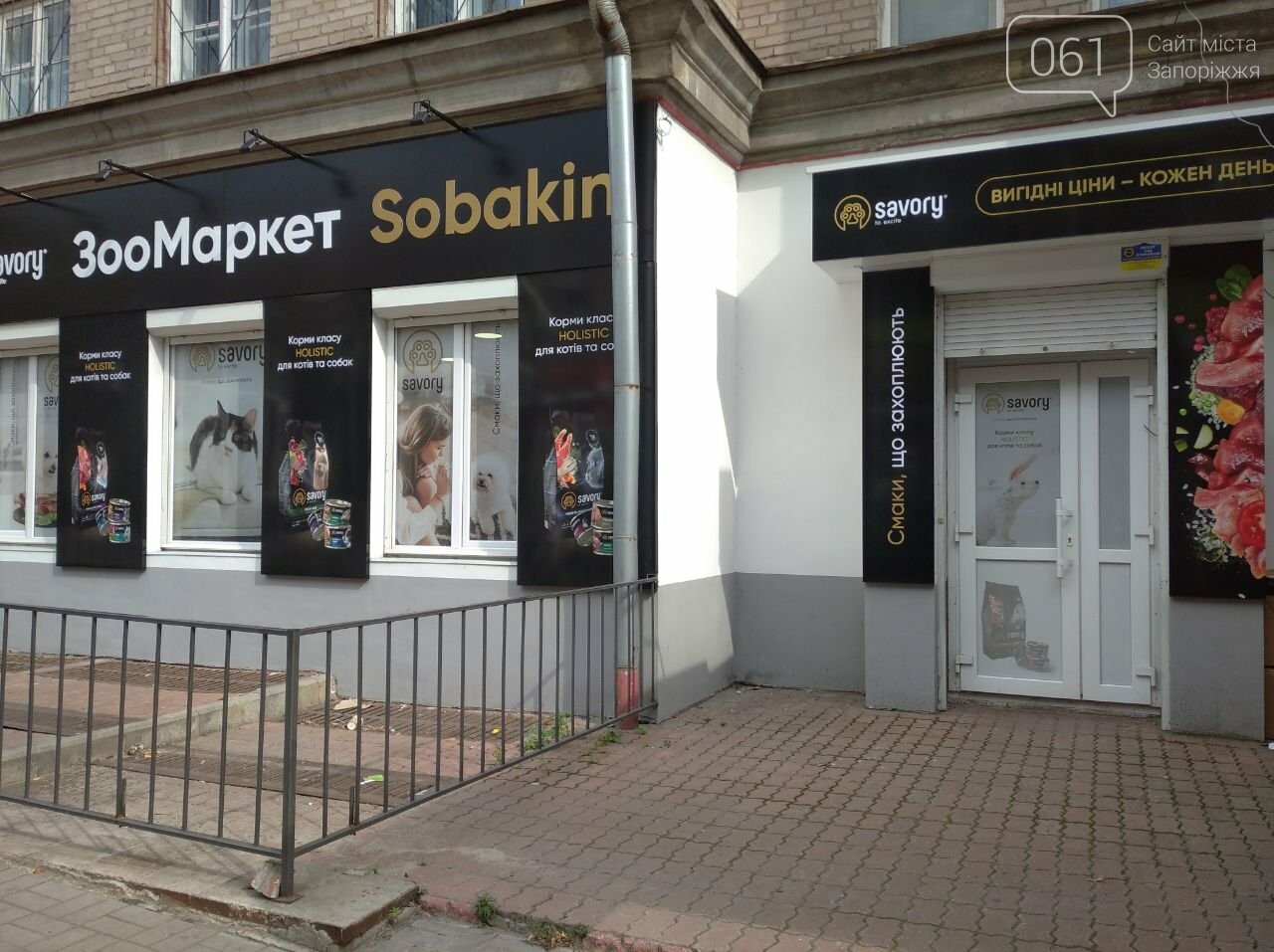 Все для домашніх улюбленців: гід по здоров’ю та догляду за хвостиками , фото-46