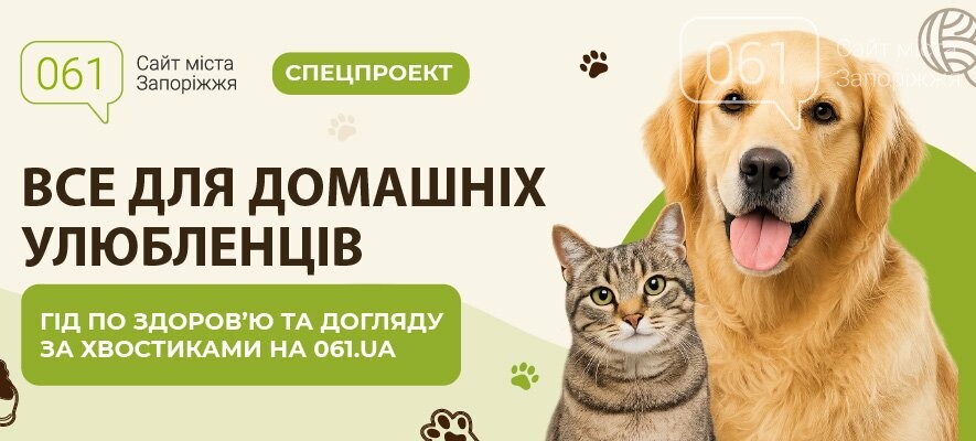Все для домашніх улюбленців: гід по здоров’ю та догляду за..., фото-1 Все для домашніх улюбленців: гід по здоров’ю та догляду за хвостиками , фото-1