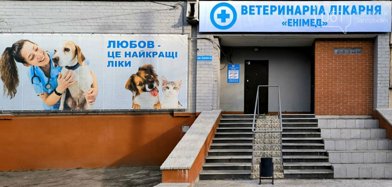 Все для домашніх улюбленців: гід по здоров’ю та догляду за хвостиками , фото-71