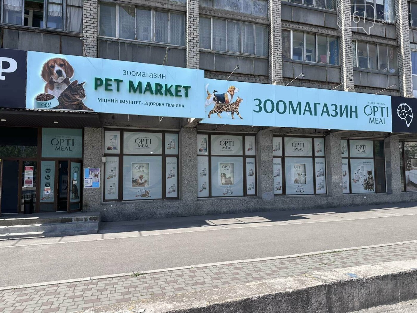 Все для домашніх улюбленців: гід по здоров’ю та догляду за хвостиками , фото-60