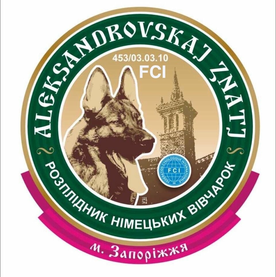 В наявності є цуценя німецької вівчарки, фото-1