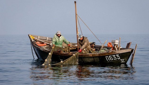 Какие рыбы водятся в азовском море список с фото