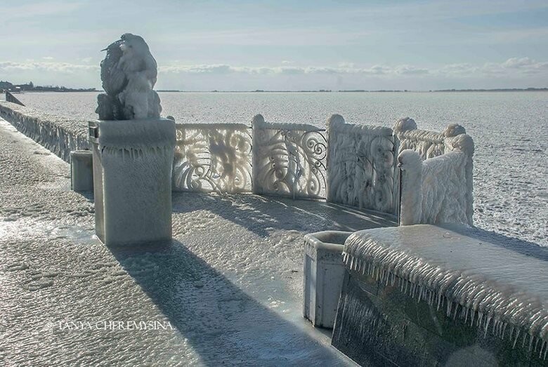 Памятник бычку в бердянске фото