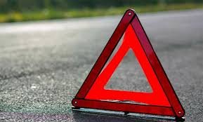 В Запорожском районе легковой автомобиль вылетел в кювет и снес дерево, водитель погиб