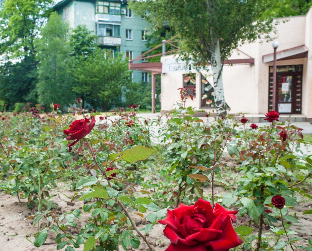ТОП летних заведений в Запорожье, фото-85 ТОП летних заведений в Запорожье, фото-85