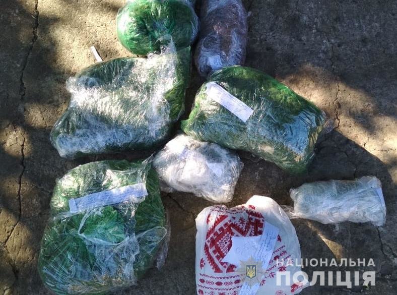В Запорожской области обнаружили теплицу с наркотиками (ФОТО)