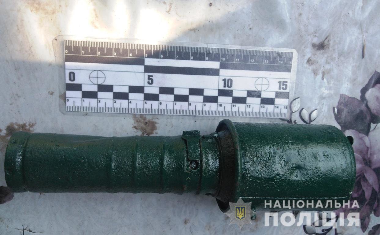 В Бердянском зоопарке родился редкий птенец белоголового сипа, - ФОТО, ВИДЕО
