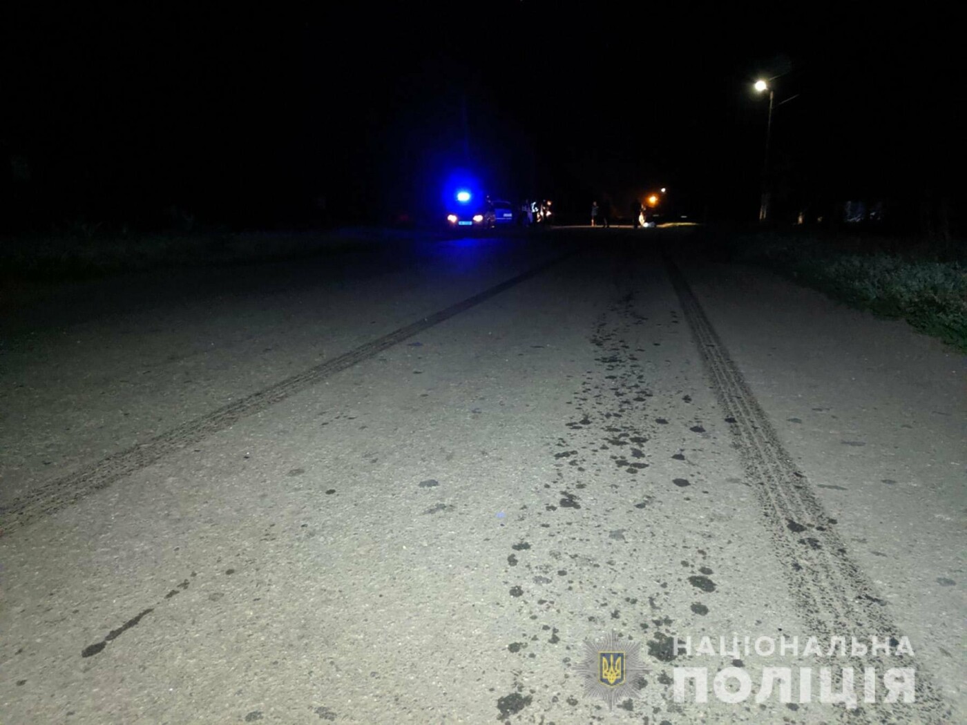 В Запорожской области водитель насмерть сбил пожилую женщин..., фото-2 В Запорожской области водитель насмерть сбил пожилую женщину, – ФОТО, фото-2