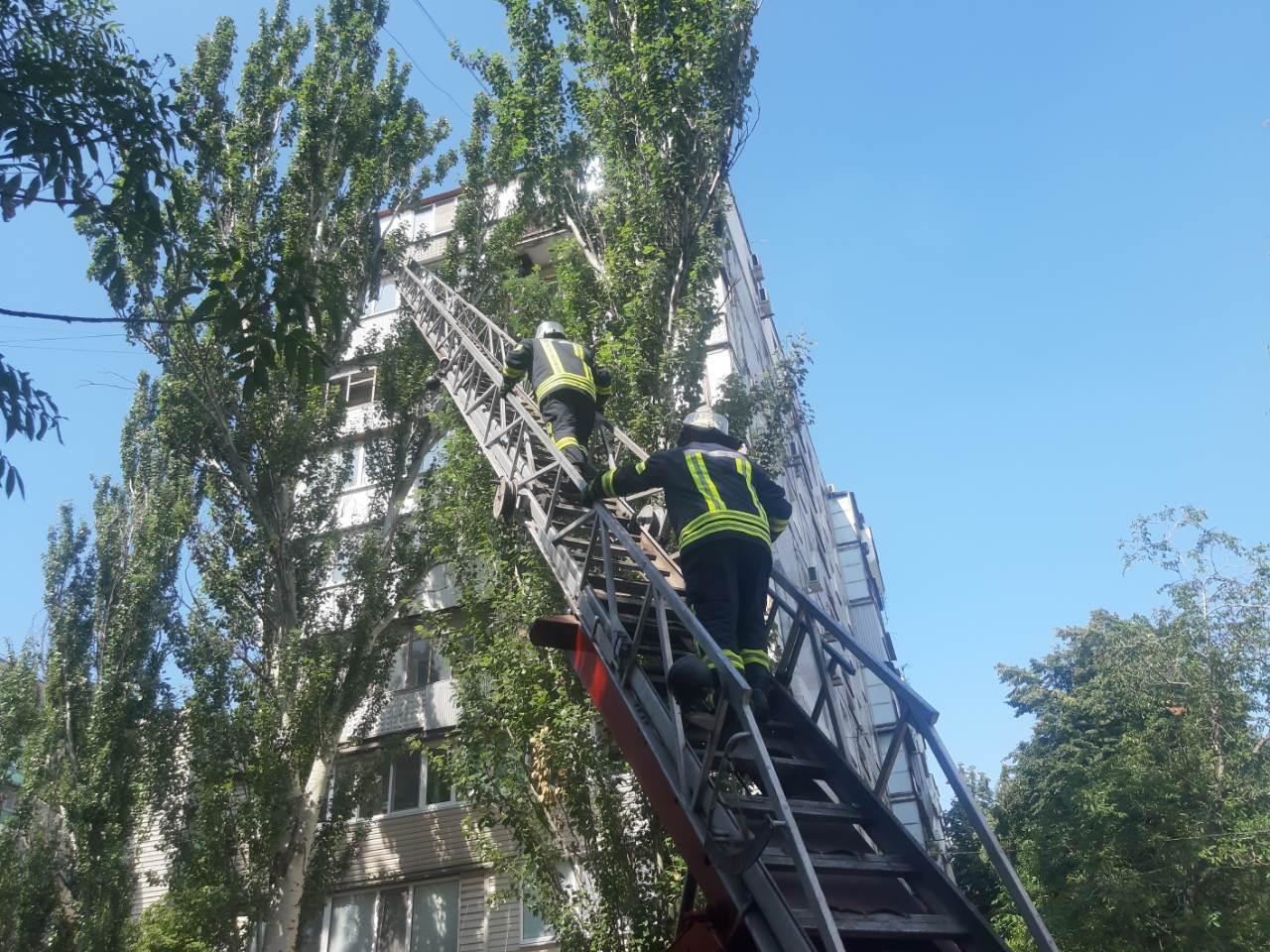 В Запорожье с крыши дома сорвало лист металла: на помощь пр..., фото-2 В Запорожье с крыши дома сорвало лист металла: на помощь прибыли спасатели, – ФОТО, фото-2