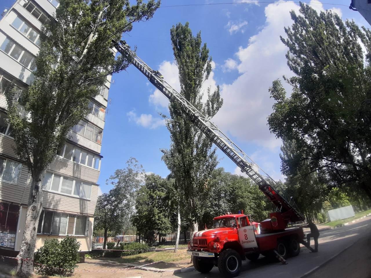 В Запорожье с крыши дома сорвало лист металла: на помощь пр..., фото-1 В Запорожье с крыши дома сорвало лист металла: на помощь прибыли спасатели, – ФОТО, фото-1