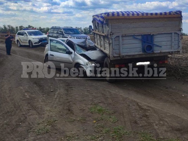 В Бердянском районе столкнулись грузовик и легковушка: в ДТП погиб 50-летний мужчина