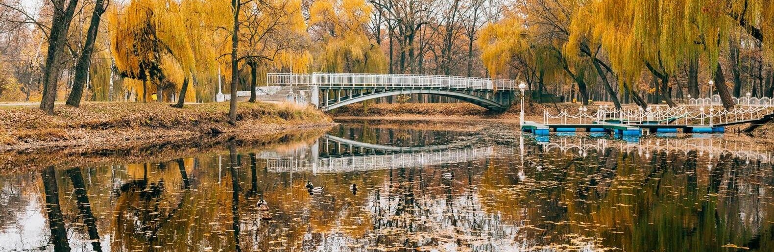 Дубовая роща чебоксары фото