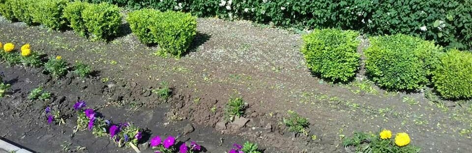 В Запорожье неизвестные украли цветы и кустарники с клумбы у памятника жертвам Голодомора 