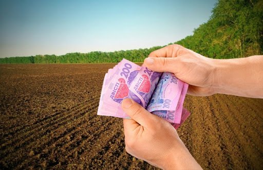 Запорожцы направили в казну 535 миллиона гривен платы за землю
