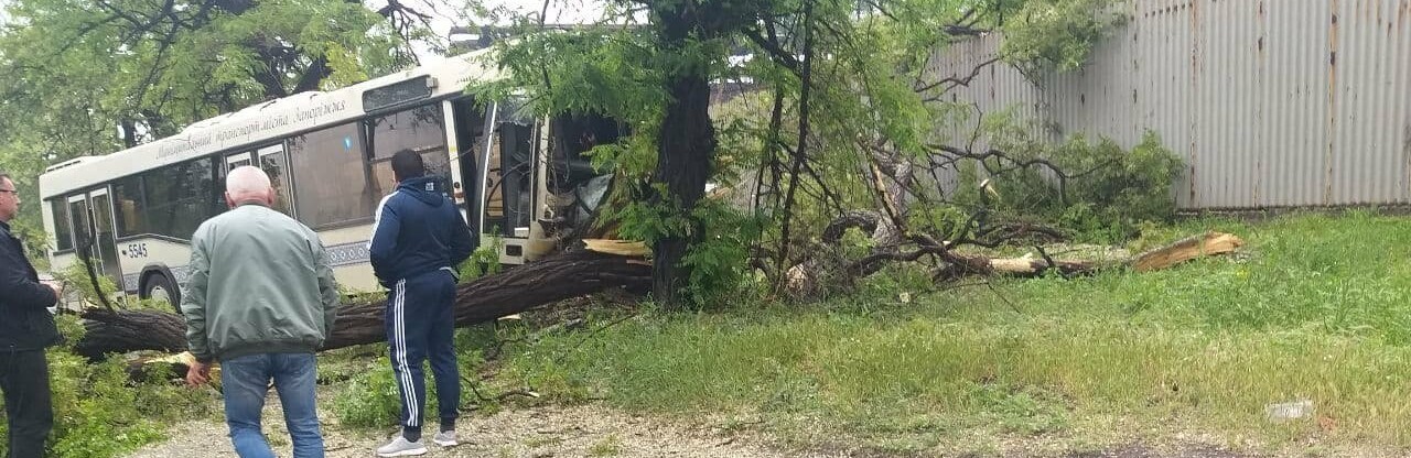 В Запорожье коммунальный автобус врезался в дерево: в ДТП пострадали двое человек, - ФОТО