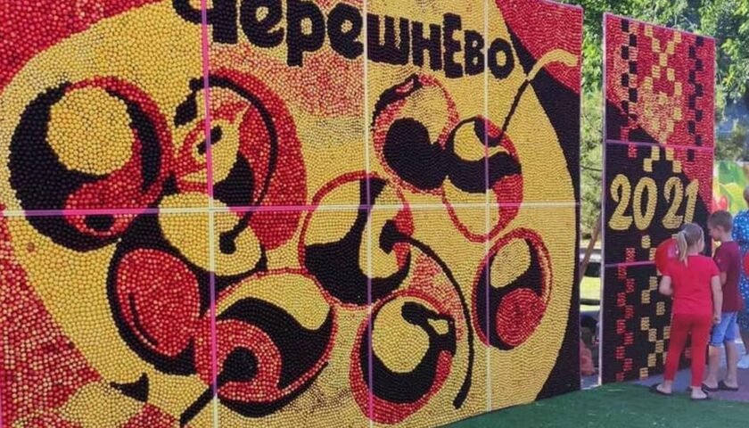  В Мелитополе из 330 кг черешни сделали картину, - ФОТО