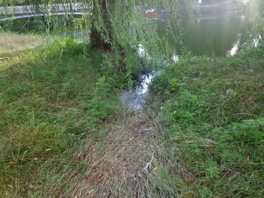 DSC04558