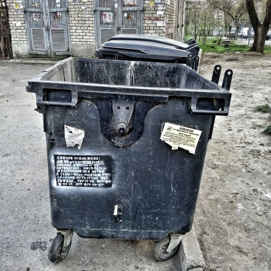 "Чуть лучше обезьяны": житель Запорожья ищет супругу с пом..., фото-1 "Чуть лучше обезьяны": житель Запорожья ищет супругу с помощью мусорных баков (ФОТО), фото-1