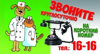 Диана+вет+лого