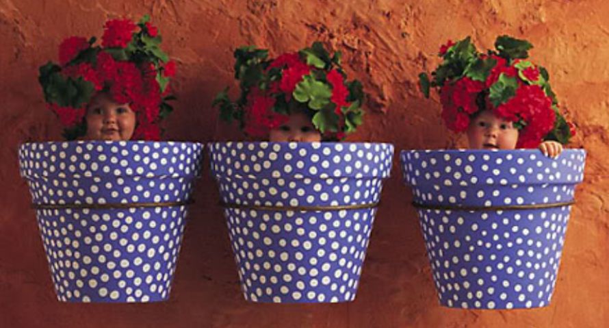 сайт 061 запорожье