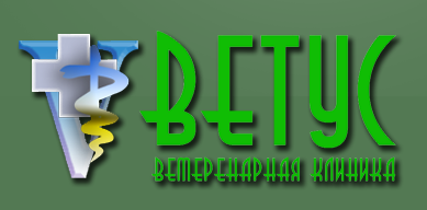 ветус+лого