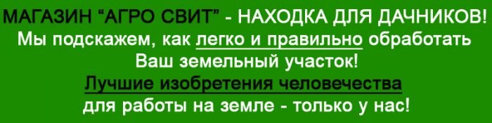 Без имени-1