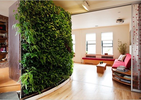 interiorgardenwall